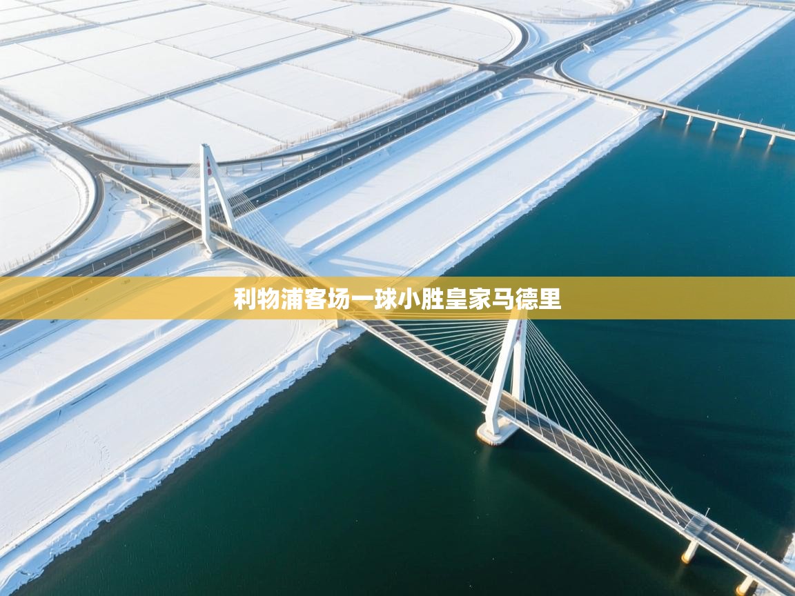 开云体育入口-利物浦客场一球小胜皇家马德里 第3张