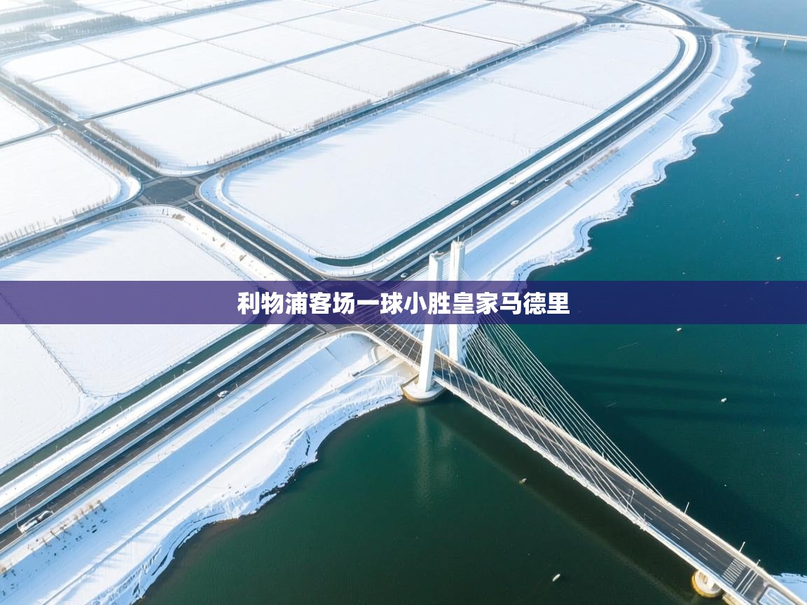 开云体育入口-利物浦客场一球小胜皇家马德里 第2张