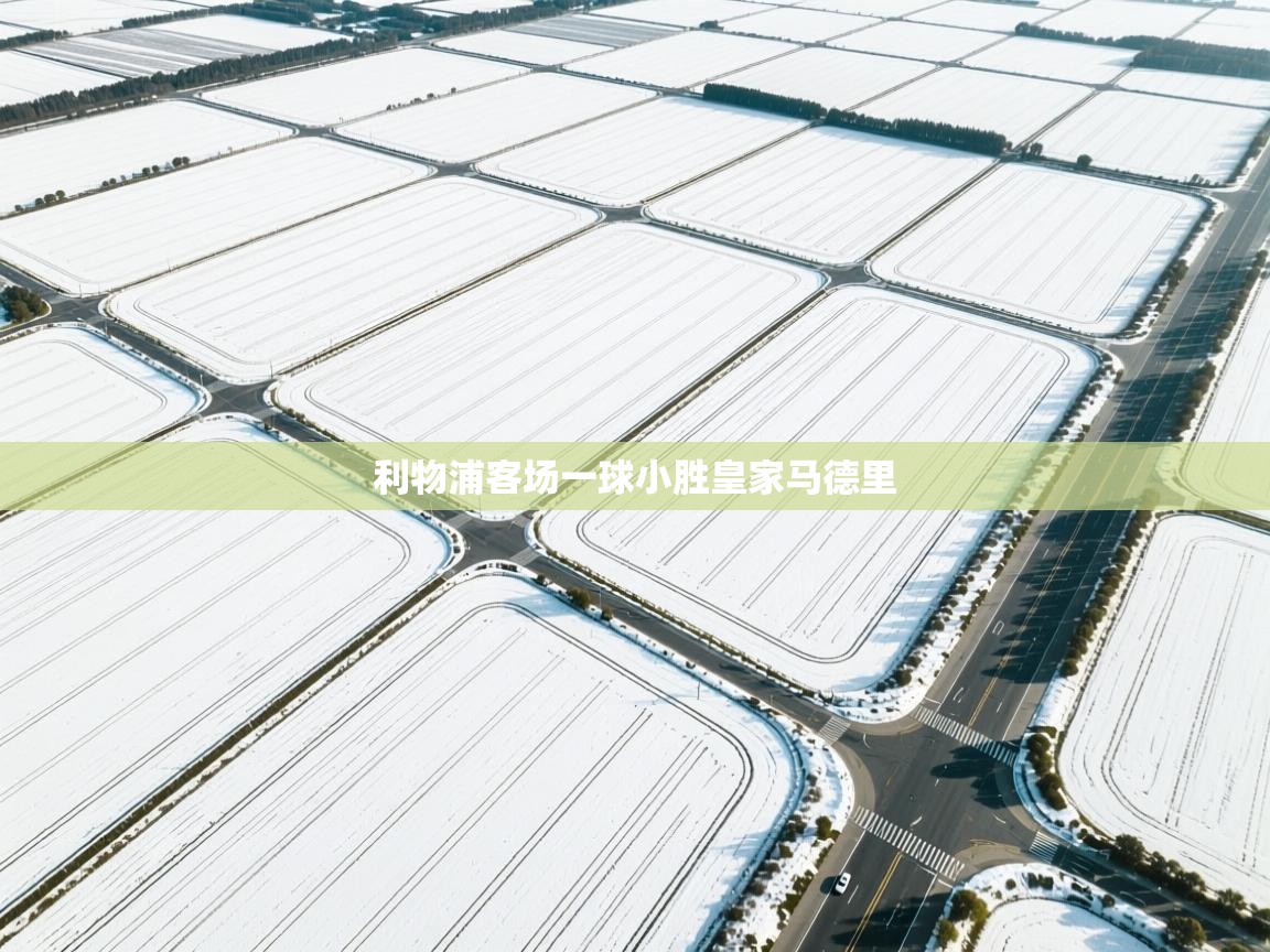 开云体育入口-利物浦客场一球小胜皇家马德里 第4张