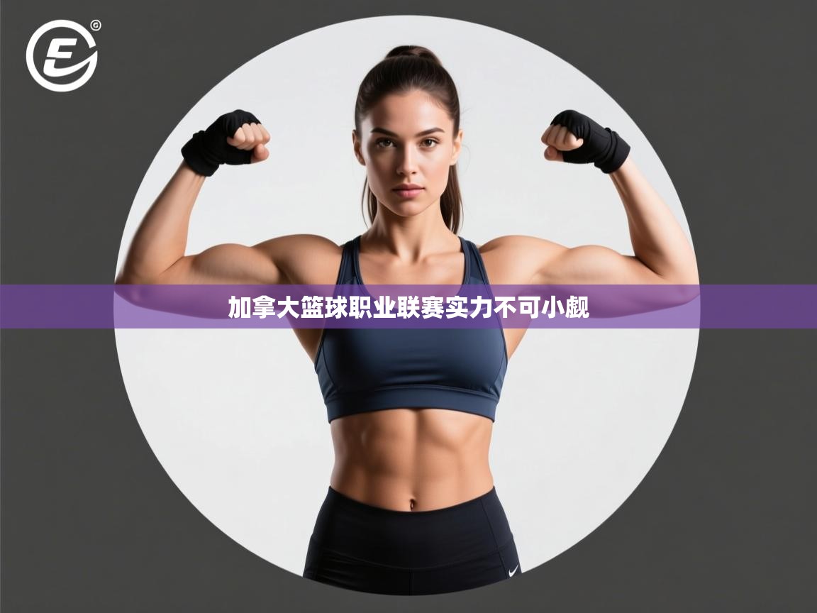 开云体育账号申诉通道-加拿大篮球职业联赛实力不可小觑  第4张