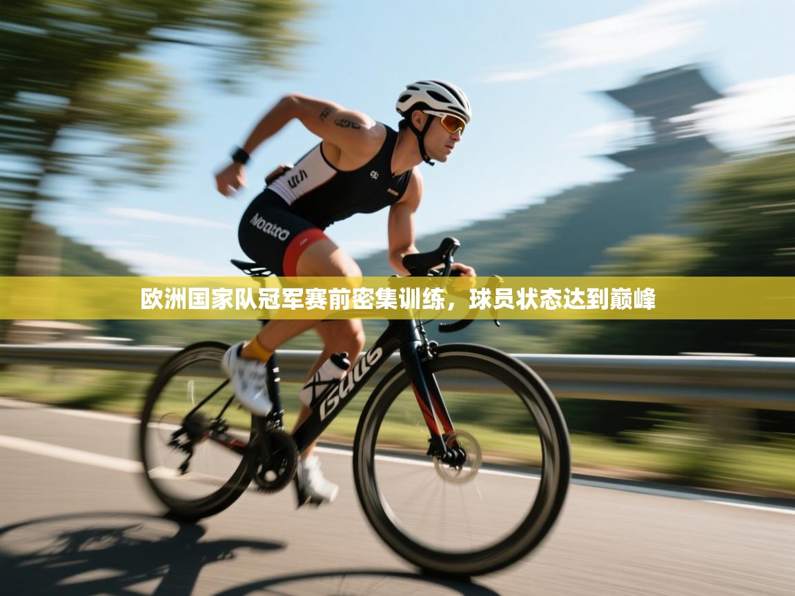 开云平台-欧洲国家队冠军赛前密集训练,球员状态达到巅峰 第2张