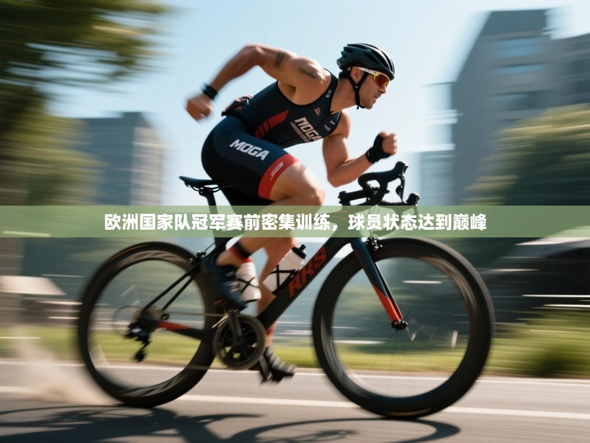 开云平台-欧洲国家队冠军赛前密集训练,球员状态达到巅峰 第3张