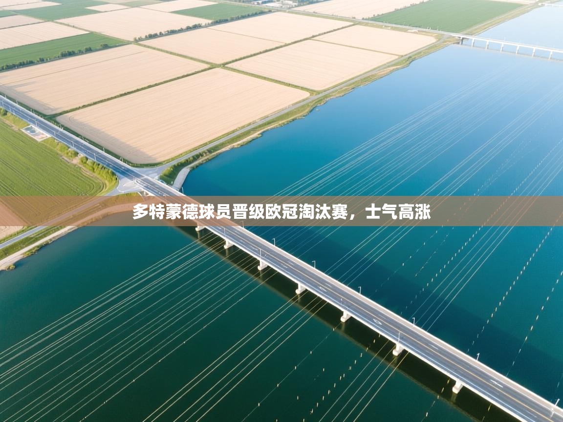 开云体育赛程表查询-多特蒙德球员晋级欧冠淘汰赛，士气高涨  第2张