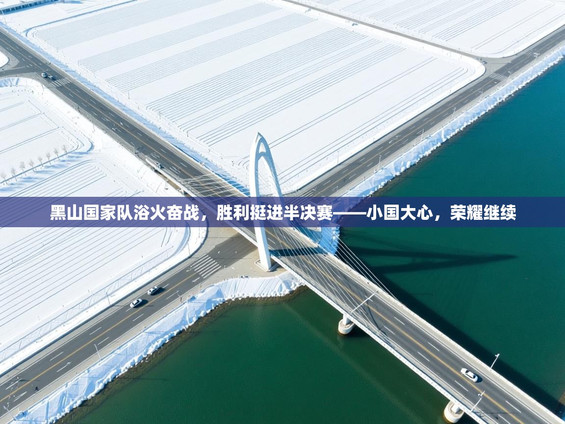 开云体育iOS安装教程-黑山国家队浴火奋战,胜利挺进半决赛——小国大心,荣耀继续 第1张