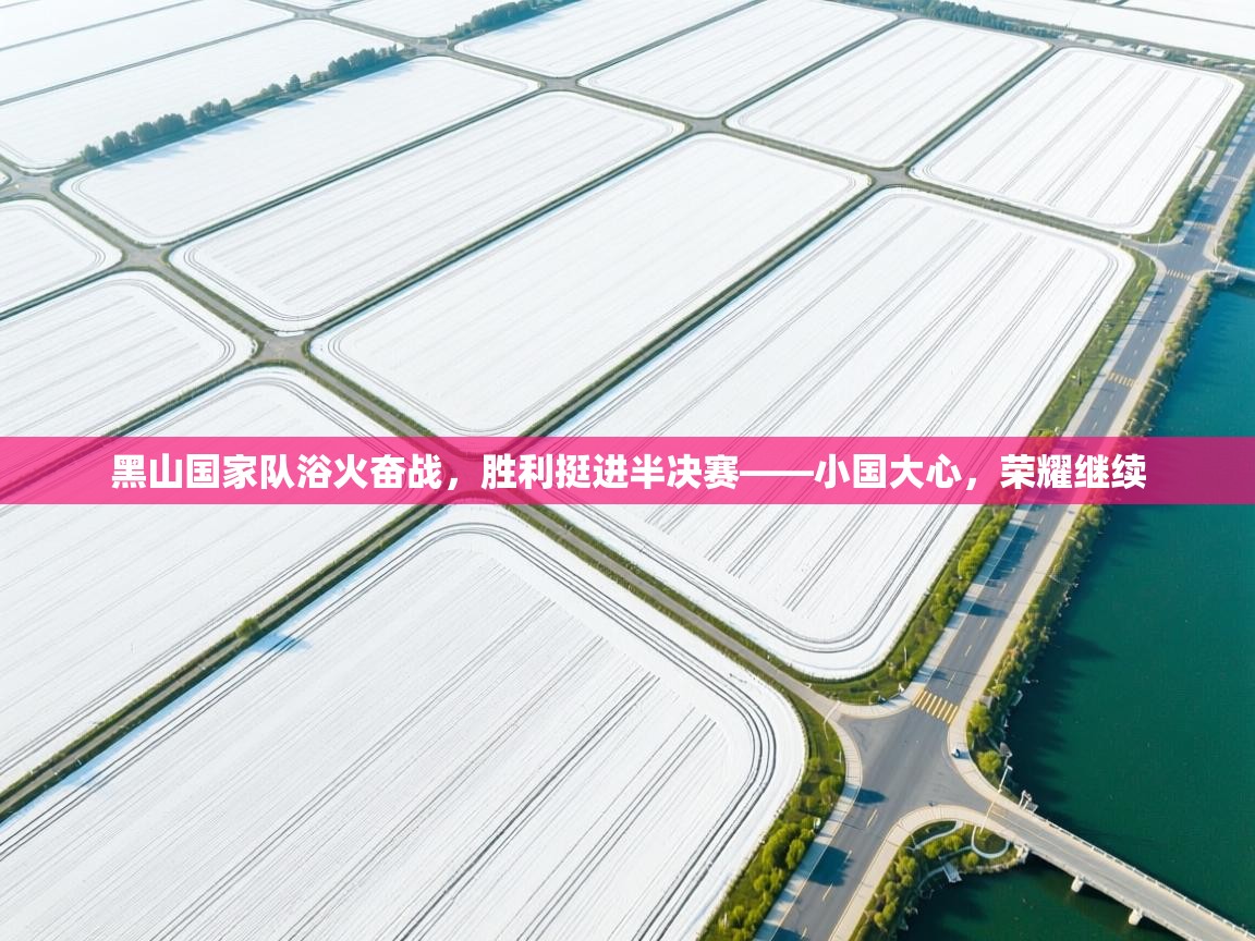 开云体育iOS安装教程-黑山国家队浴火奋战,胜利挺进半决赛——小国大心,荣耀继续 第3张